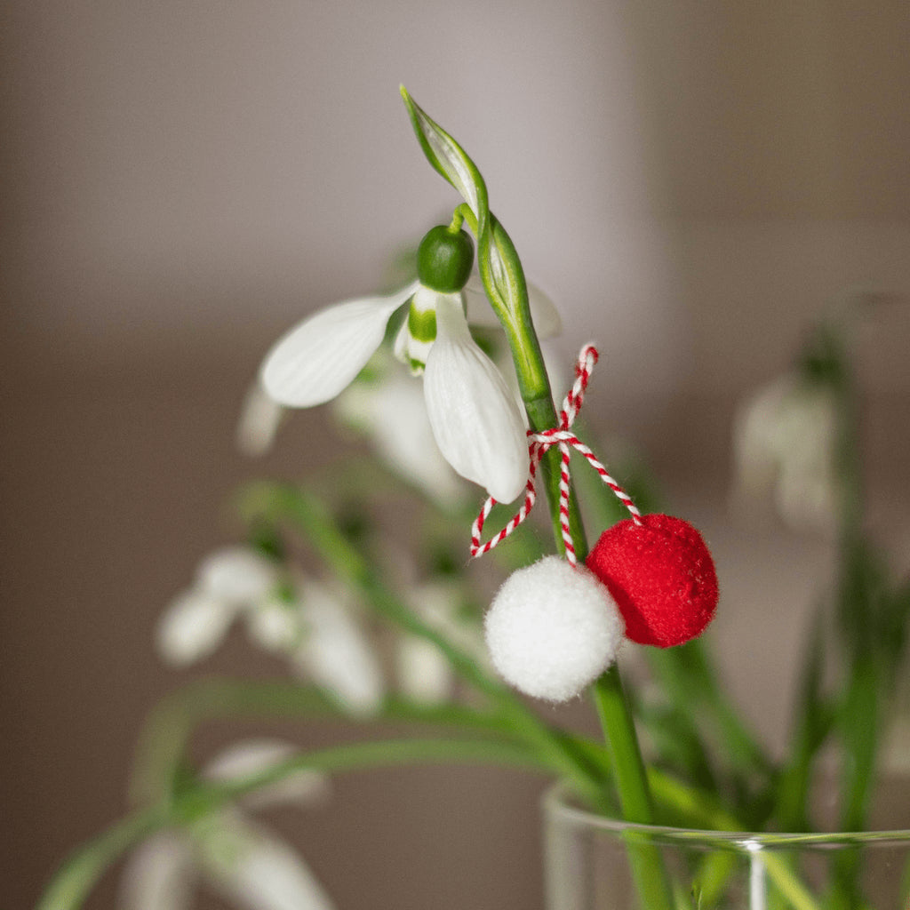 Skincare: Martisorul tau perfect - WowSkin Romania