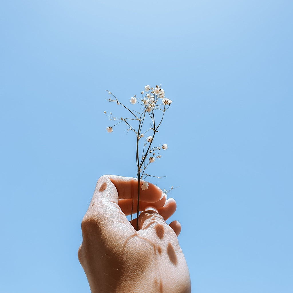 Ten uscat - Ghid complet pentru ingrijirea tenului tau: cauze si remedii - WowSkin Romania