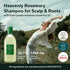 Scapă de mătreață și senzația de mâncărime cu Aromatica Rosemary Scalp Scaling Shampoo. Tratament natural pentru detoxifierea scalpului și regenerarea părului.