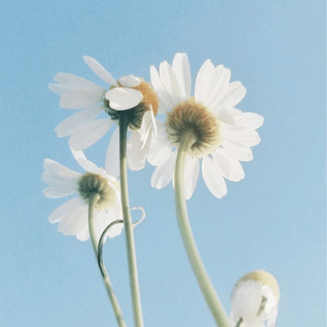 Demachiant Multifunctional pentru ten sensibil - WowSkin Romania